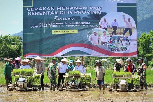 Kegiatan Tanam Padi Program Ketahanan Pangan Singkawang Utara